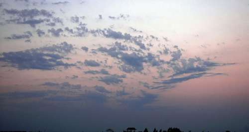 Un oiseau dans le ciel - Altocumulus castellanus - 16 juillet 2005 - Mini